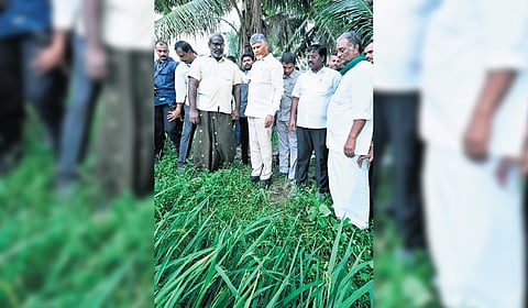 Chief Minister Nara Chandrababu Naidu inspects the flooded fields, and speaks to cyclone-hit farmers in BR Ambedkar Konaseema district.