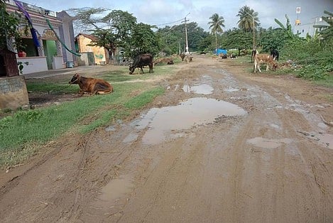 Image used for representational purposes only.