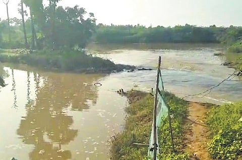 With the very heavy rainfall, flood waters washed away prawn culture  ponds in Kothapatnam and  Jarugumalli mandals of Prakasam district.