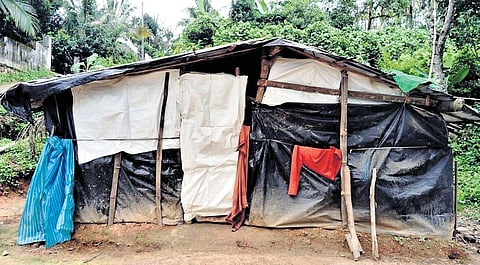 A tribal family’s house in Sultan Bathery