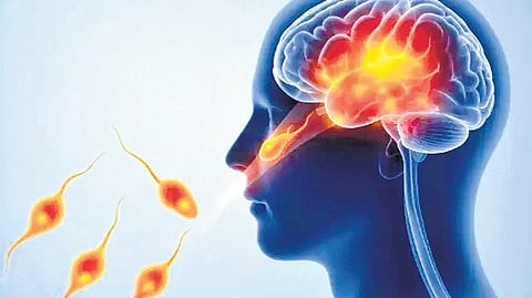  The patient is currently is undergoing treatment at a private hospital in the city. 