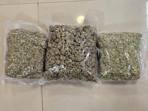 During baggage checks, officers found 15 kg of hydroponic ganja concealed inside packaged food items and chocolate packets.