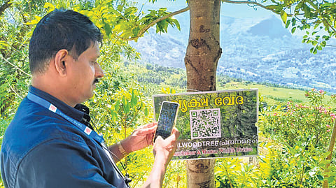 A visitor scanning the QR code attached to a tree on the IHRD College campus in Kanthalloor following the launch of the Vrikshaveda project 