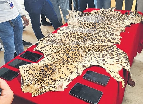 BTech graduate among three held with leopard hide 