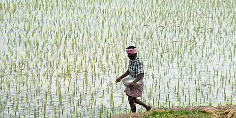 Concerns focus on tribal land rights and mandatory Gram Sabha approvals under the PESA Act. 