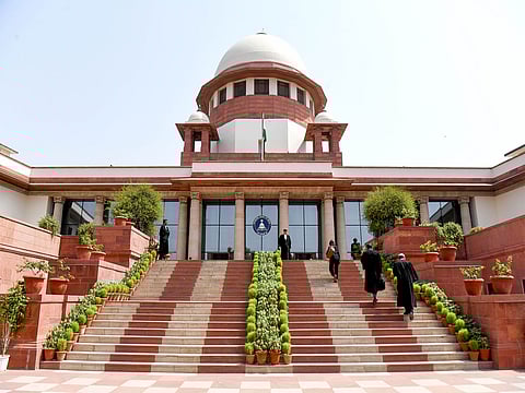 SC unhappy with steps taken by states in stray dog case, warns action 
