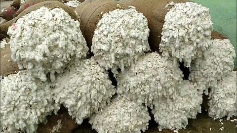 Image used for representational purposes.