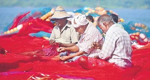 These rules aim to promote sustainable mariculture, including seaweed cultivation in the EEZ, reduce fishing pressure, create additional livelihoods, and enhance overall production from the sea.