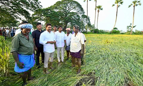 YSRCP President Jagan demands immediate payout to ryots