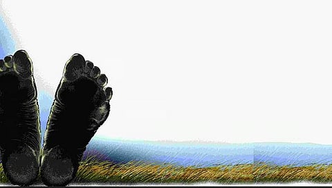 Image used for representative purpose only.