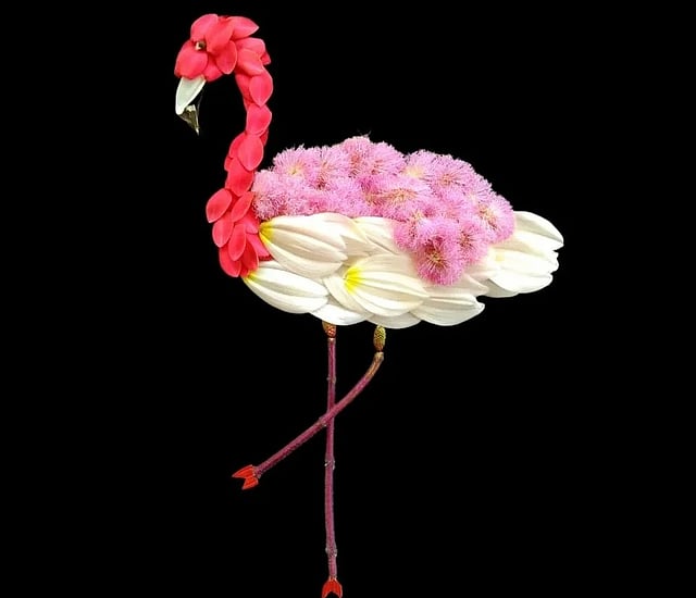 Karnataka-based Nishchita draws birds such as flamingo using flower petals