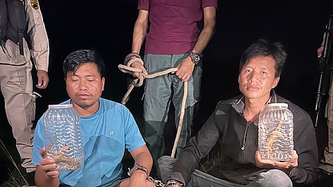 The accused, both residents of Assam’s Karbi Anglong district, have been booked under relevant sections of the Bharatiya Nyaya Sanhita and the Wildlife (Protection) Act, 1972.