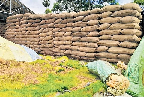 Sacks of paddy piled up at a DPC