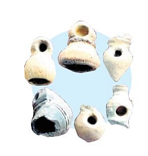 Terracotta smoking 
pipes 