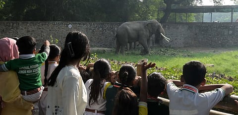 National Zoological Park.