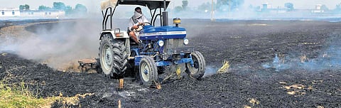 Despite this dynamics and the global discourse on climate change putting ever more pressure on the government of the day, the fate of Delhi has not changed.