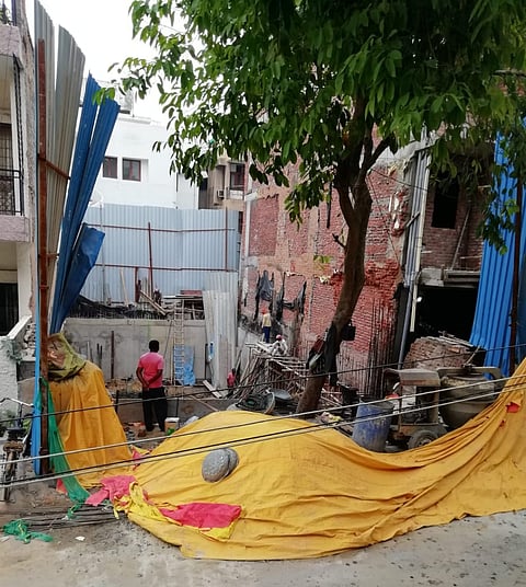 The Ghost Trees of Delhi