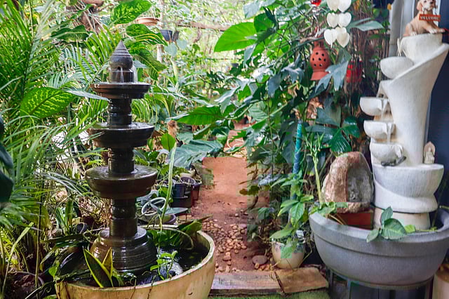 A traditional fountain in the lush space