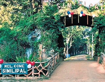 MoEF&CC on Tuesday directed the state government to submit a detailed report on illegal construction and tree felling in the eco-sensitive zone surrounding Similipal National Park.