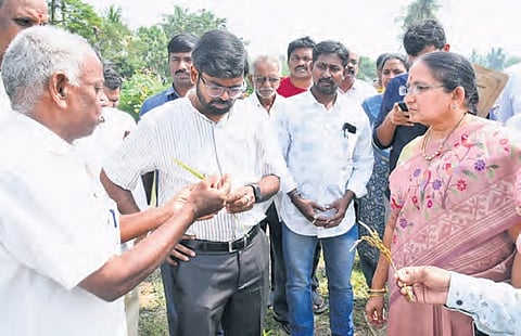Krishna District Collector DK Balaji inspecting paddy procurement centres, crop conditions, in Guduru and Pedana mandals on Thursday.