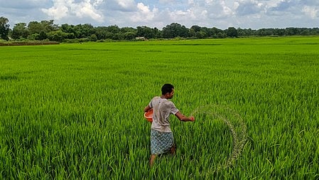 Image used for representative purposes only.