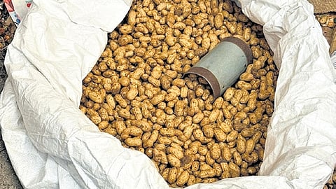 Kadalekai Parishe 2025