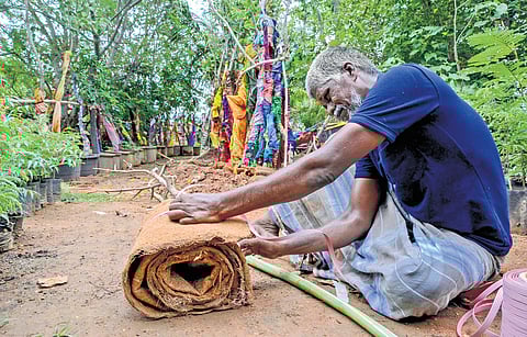 Archunan has pioneered an eco-friendly method of growing trees using discarded mattress coir fibres.