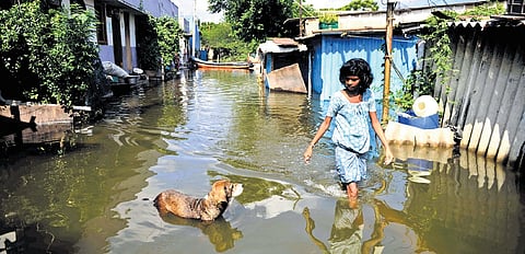 Flooded Sadayankuppam Irular Colony in Manali.