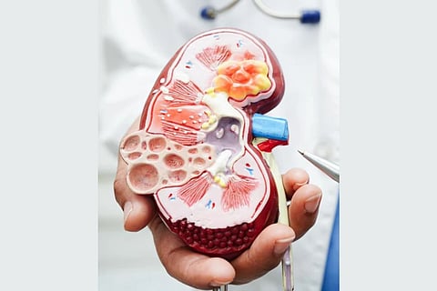 AP police crack organised racket involving hospital owner, agents and Bengaluru surgical team; victim’s mother’s complaint leads to arrests, more accused still on the run