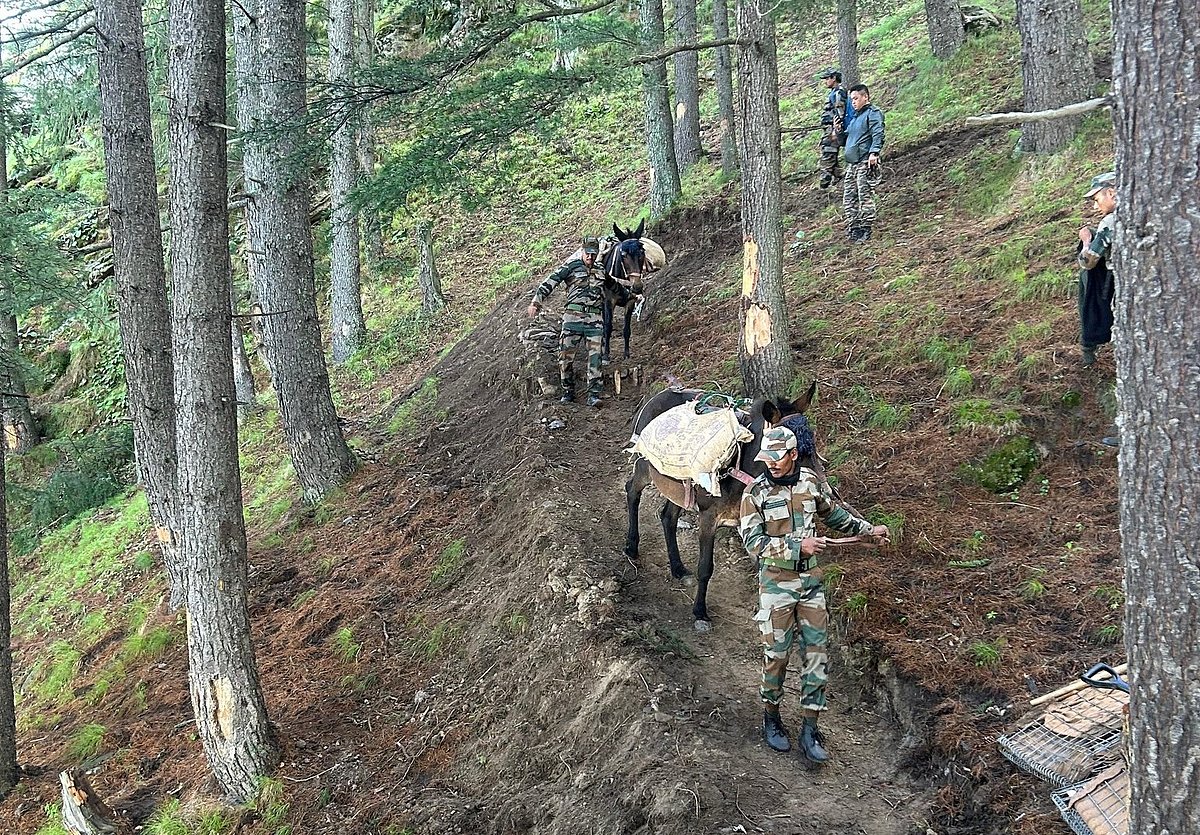 Army’s Animal Transport Units to stay