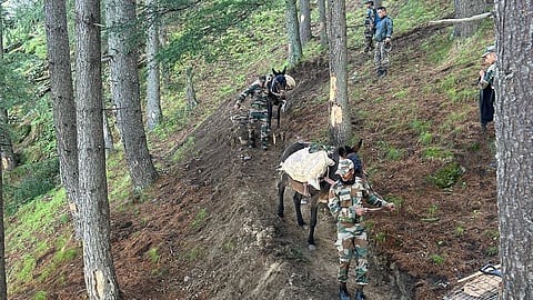 The animals (mules, horses, donkeys, and dogs) are used in the Indian Army for various purposes.