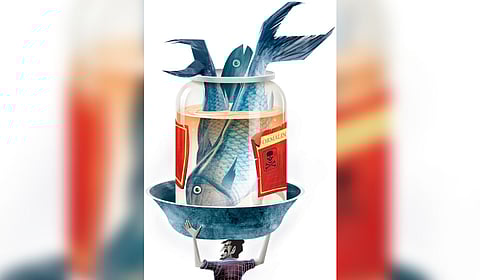 Express illustration