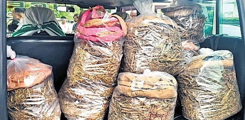 Preliminary investigation suggests the ganja was bought for around Rs 3,000 per kg 
