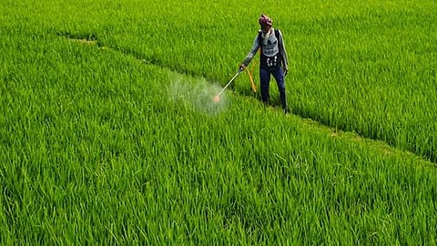 Image used for representation purposes only.