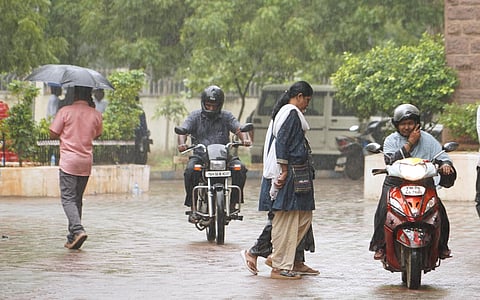 According to IMD, Madurai has received only 228.5mm of rainfall between October and November 18, against the normal 275.5mm, marking a 17% deficit.