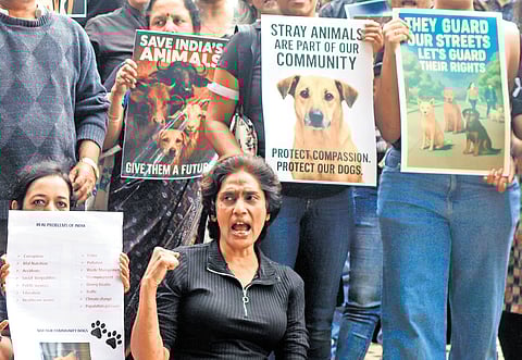 Dog lovers protest against the Supreme Court’s order to move stray dogs to shelters at Freedom Park in Bengaluru on Tuesday