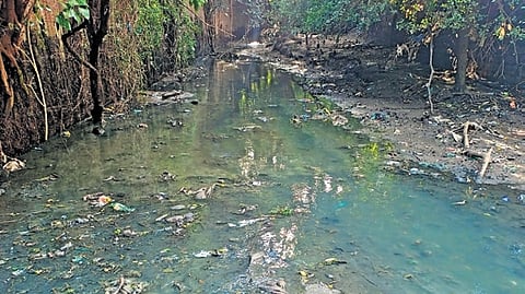 A drain carrying sewage from Srirangapatna town to the river Cauvery