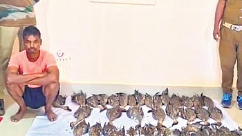 The accused, Pradeep Mallick of Bhusandapur under Tangi police limits in Khurda district, was caught red-handed with the dead birds stuffed in two gunny bags