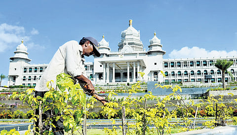 A gardener prunes plants on the premises of Suvarna Vidhana Soudha that will host the winter session of the legislature, in Belagavi on Wednesday.