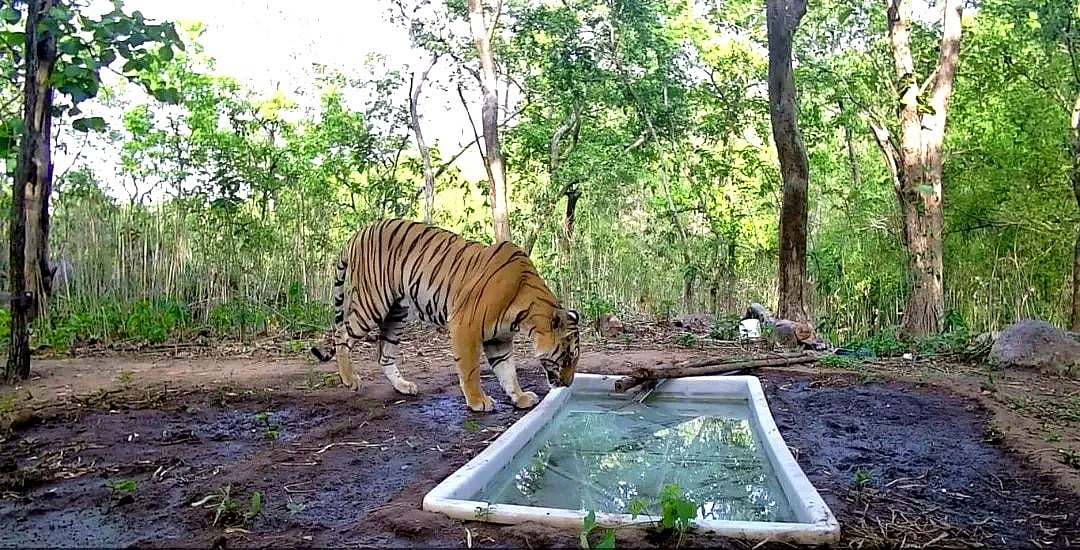 The New Indian Express - Other - News Image