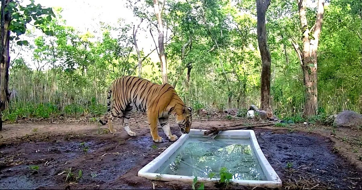 The New Indian Express - Other - News Image