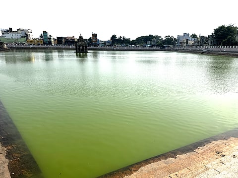 A Siva temple on the banks of the Thiruvallur temple-tank