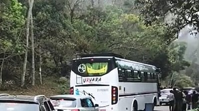 Kodaikanal experiences heavy traffic jams, especially on weekends and holidays, say residents 