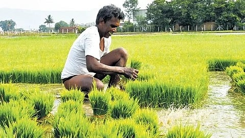 Image used for representative purpose.