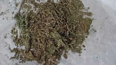 Representational image of ganja.