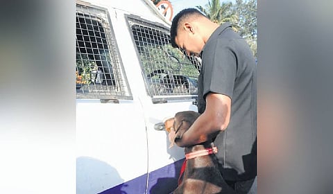 South division police investigating the Rs 7.11-crore daylight heist.