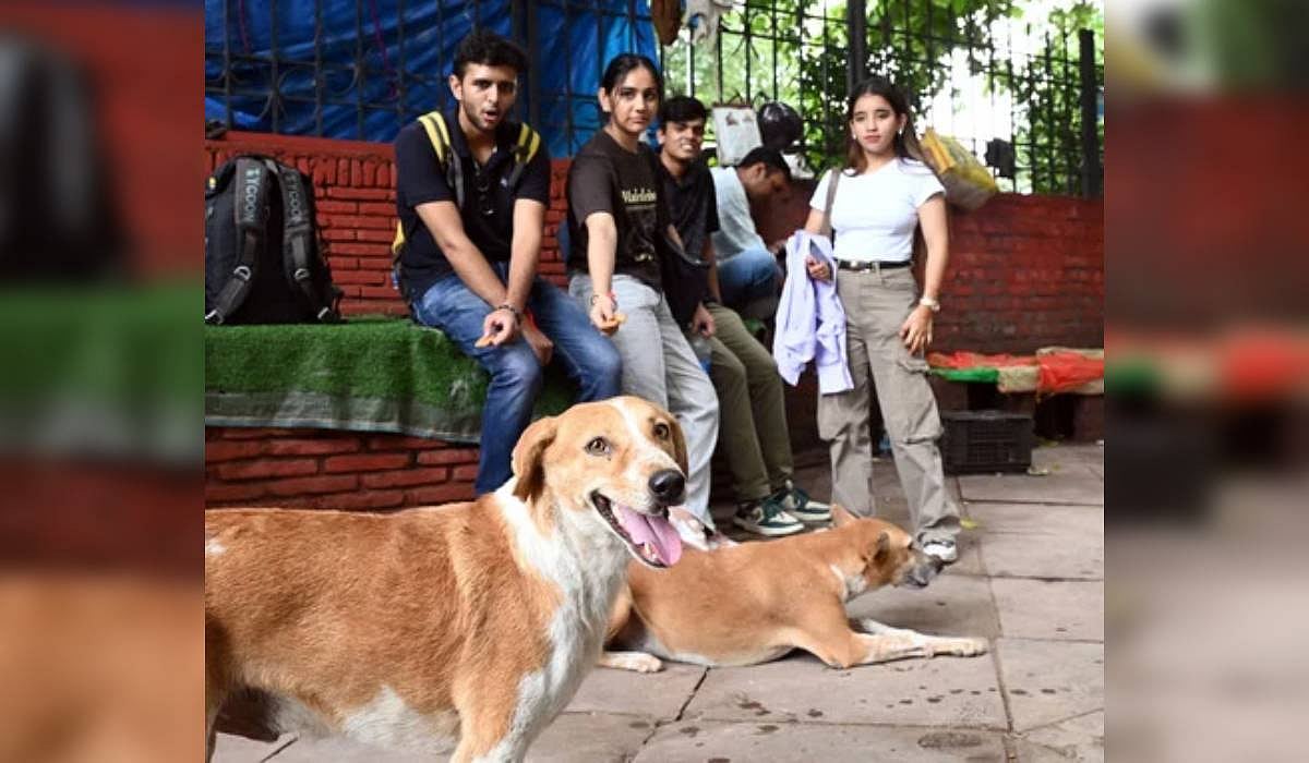 Chhattisgarh govt directs heads of schools to report on stray dogs, teachers' body protest