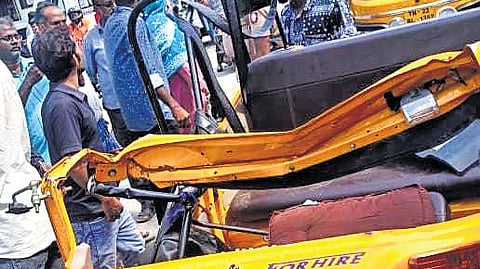 The tree was weakened due to termite infestation 