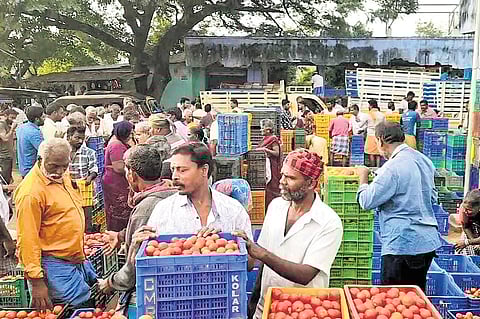 Retail price of tomato has increased from Rs 25 per kg to Rs 55–Rs 60 per kg 