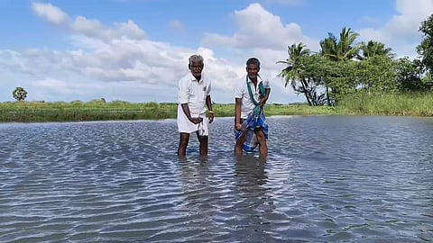 Manivannan standing
in his field in Sadayankottagam and holding the seeds which failed to germinate due
to widespread rain and inundation 